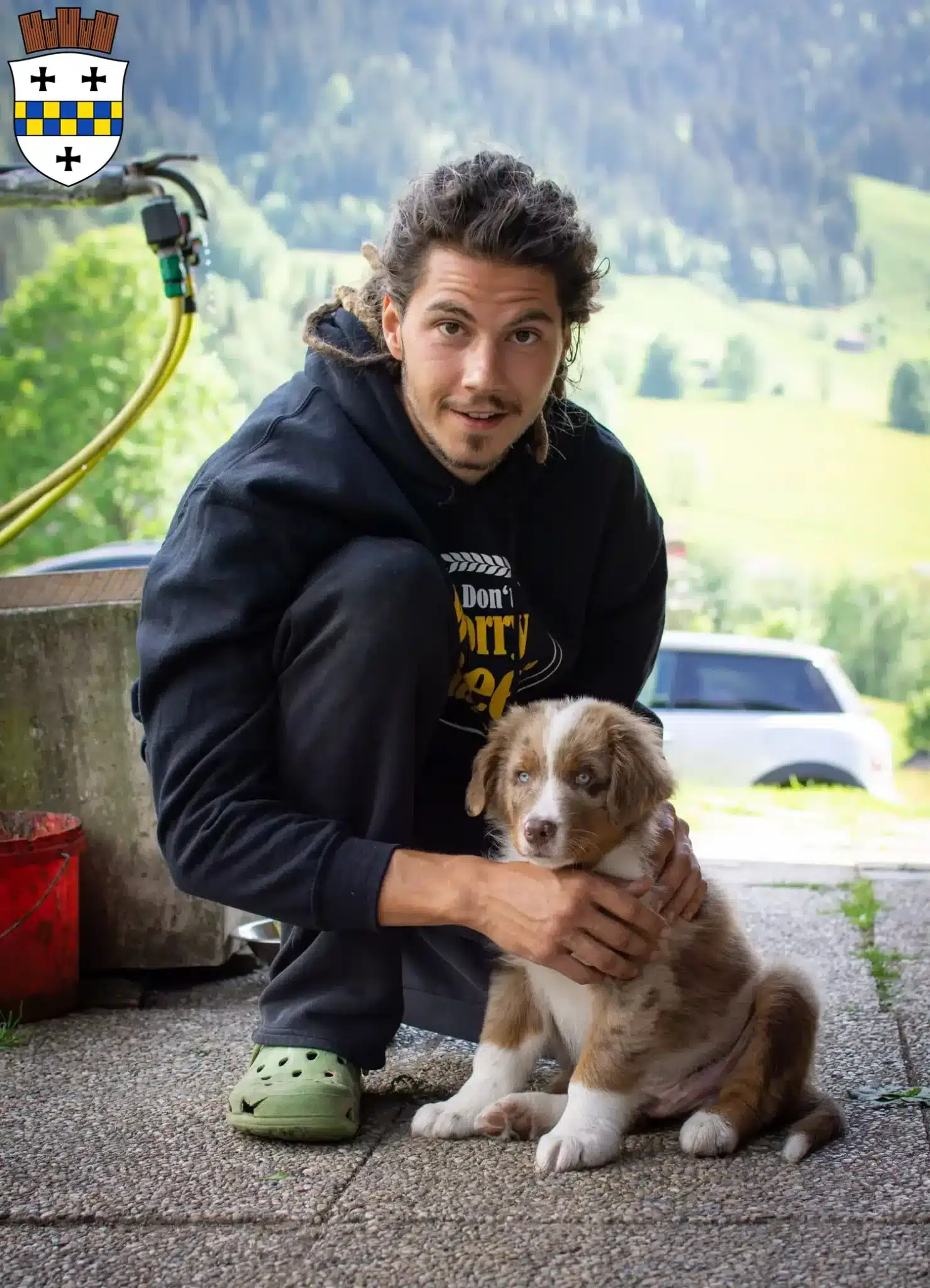 Mehr über den Artikel erfahren Australian Shepherd Züchter und Welpen in Bad Kreuznach