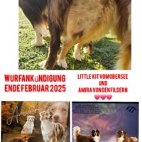 Wurfankündigung Ende Februar 2025